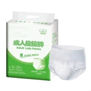 Disposable Pull-On Briefs